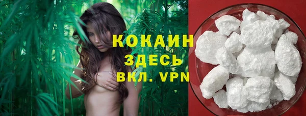 трава Абаза